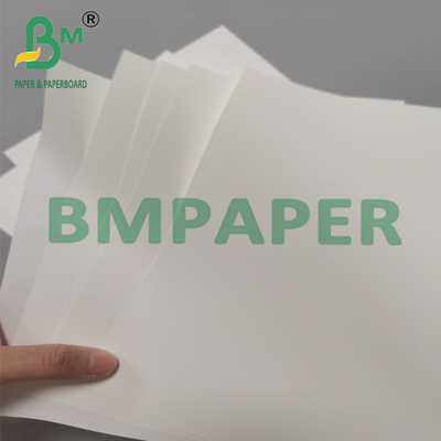 Papel de folheto sintético resistente ao calor de 250 mm e 260 mm