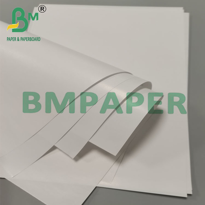 80g Biodegradable Leak Proof Cone Cup Papel de Embalagem Dessert Snack