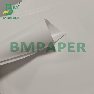 80g Biodegradable Leak Proof Cone Cup Papel de Embalagem Dessert Snack