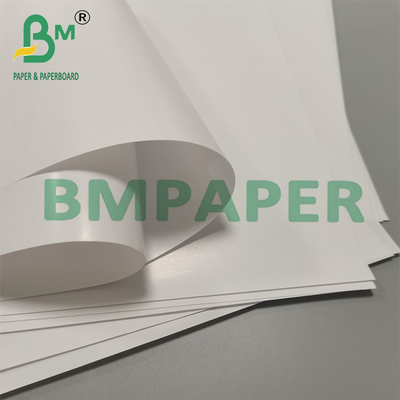 80g Biodegradable Leak Proof Cone Cup Papel de Embalagem Dessert Snack