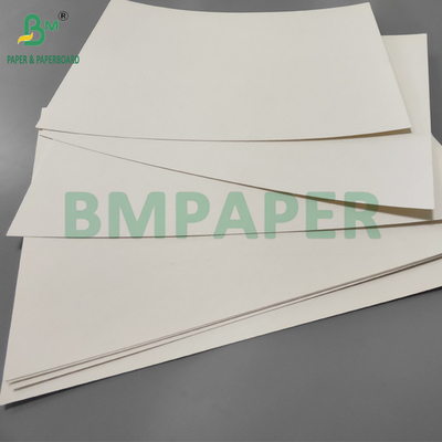 190gm + 15g PE P1S Cup Paper Gloss Para Café Impermeável 720mm 880mm