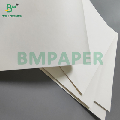 190gm + 15g PE P1S Cup Paper Gloss Para Café Impermeável 720mm 880mm