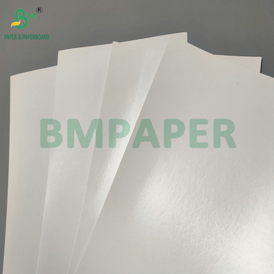 180g 200g Duplo PE Film Coating Kraft Paper para Fabricação de Gelados - Fraldas de Alimentos