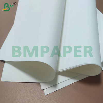 Papel bíblico resistente a lágrimas, leve e durável para impressão