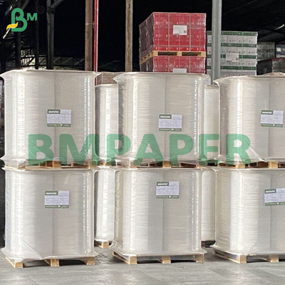 Papel de palha biodegradável, resistente à água e seguro para alimentação, para consumo humano