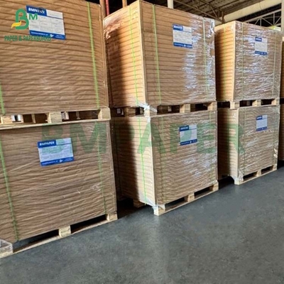 Papel de filtro natural de café castanho não branqueado biodegradável a altas temperaturas