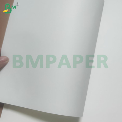 60/120 GSM Rolo de papel de palha para beber com cores personalizadas