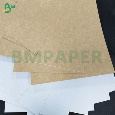 200-360 GSM Folha de papel kraft revestida de um lado resistente ao congelamento