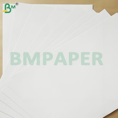 200-360 GSM Folha de papel kraft revestida de um lado resistente ao congelamento