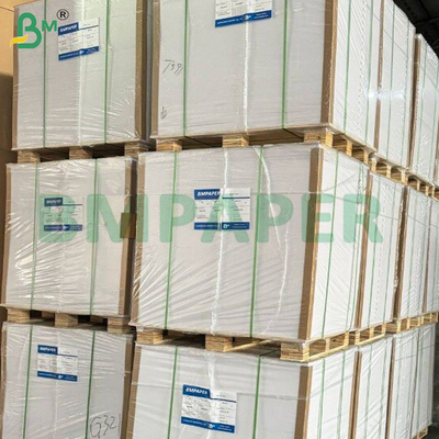 200-360 GSM Folha de papel kraft revestida de um lado resistente ao congelamento