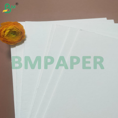 Espessura 0,4-3,0 mm Folhas de papel de copos de cozinha Excelente absorção de água
