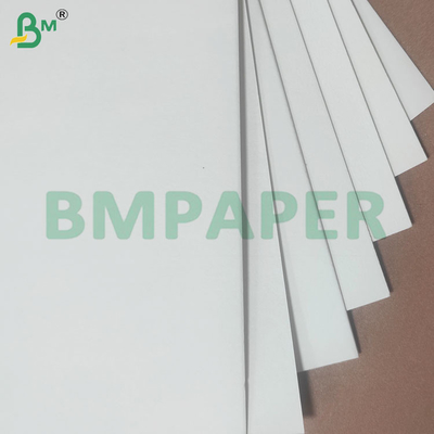 1.2 mm 1,5 mm Espessura Papel absorvente de água para tapetes de cerveja e embalagens