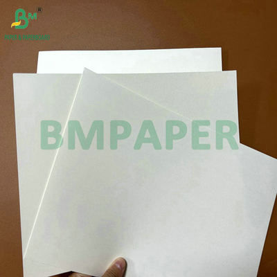 Grau alimentício 250g 737mm Cupstock impermeável 1 PE Papel para copos