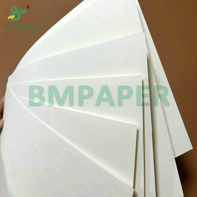 Grau alimentício 250g 737mm Cupstock impermeável 1 PE Papel para copos