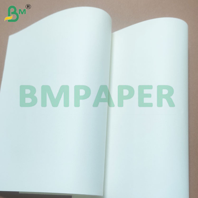 Papel offset de 80 gm, de tamanho A4 e com certificação ecológica, para uso de escritório sustentável