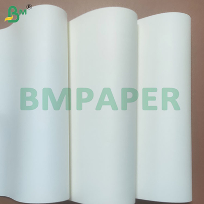 Papel offset de 80 gm, de tamanho A4 e com certificação ecológica, para uso de escritório sustentável