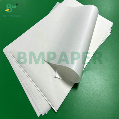 Papel revestido em PE de 28 cm e 45 gramas para embalagem