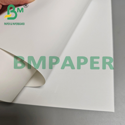 240 g de papel fotográfico monolado revestido com resina brilhante