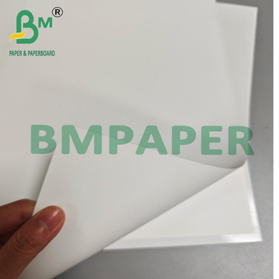 240 g de papel fotográfico monolado revestido com resina brilhante
