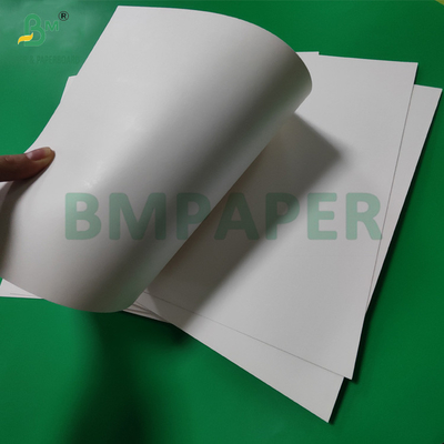 300gm +15g PE revestido papel de taça de estoque de placa para bebidas quentes 820mm 880mm