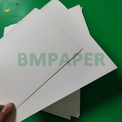 300gm +15g PE revestido papel de taça de estoque de placa para bebidas quentes 820mm 880mm