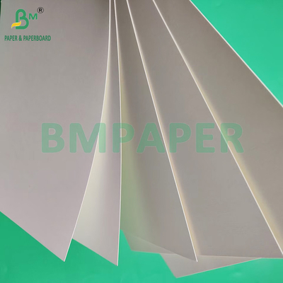 230 gm 260 gm Papel de taça revestido de PE de lado único para fabricação de papel de taça