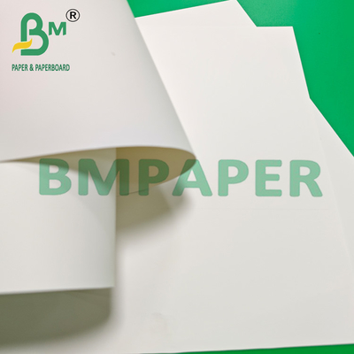 Papel sintético em papel de PP à prova d'água branco brilhante para cartazes