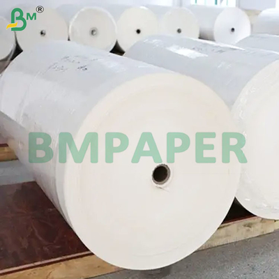 50gm de papel de filtro de café para bebidas de café