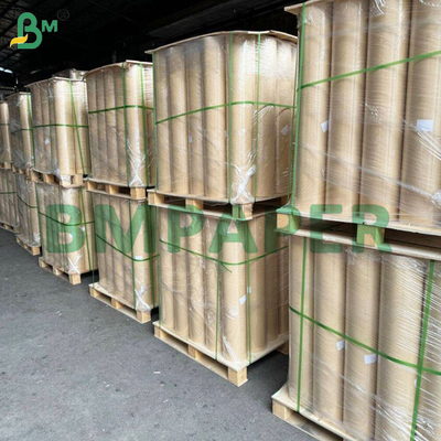 50gm de papel de filtro de café para bebidas de café