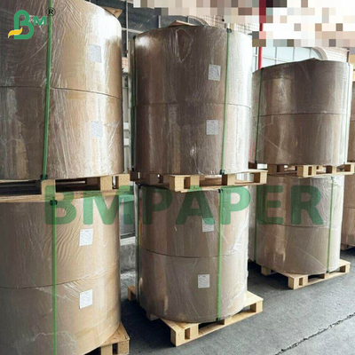 50gm de papel de filtro de café para bebidas de café