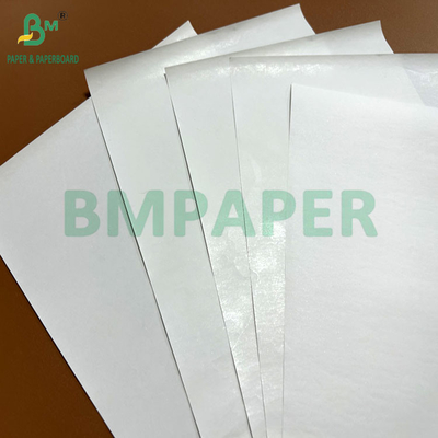 Largura do rolo 440 mm 450 mm 48 gramas 55 gramas Papel térmico branco Para impressoras POS