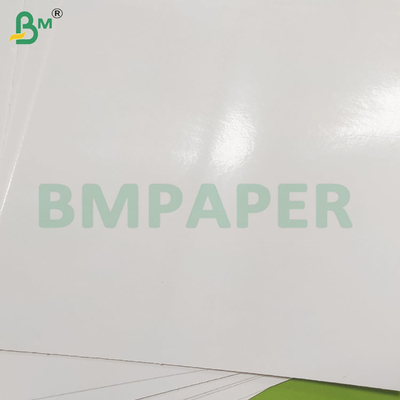 Rolos de papel de embalagem de alimentos congelados revestidos de um lado para alimentos do mar