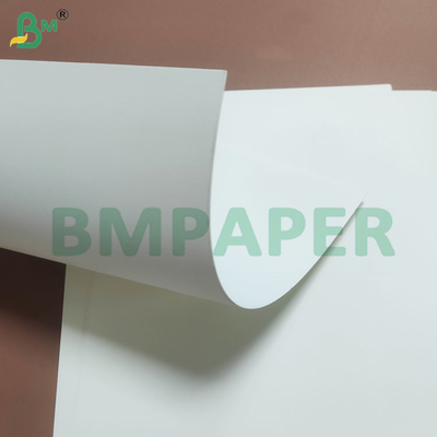 Papel de base de taça branca branqueado lisoso e reciclável 230gm