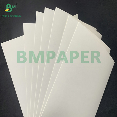 15g PE revestido à prova d'água 210gm 230gm Cup Stock Paper High Folding