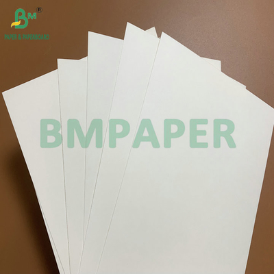 15g PE revestido à prova d'água 210gm 230gm Cup Stock Paper High Folding