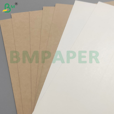 Segurança dos géneros alimentícios 200+10GSM Folhas de papel revestidas com PET para recipientes de alimentos
