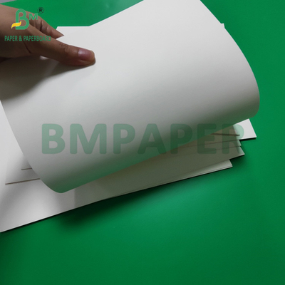PET impermeável laminado 300gm Cartão Branco Para Caixa de Almoço Reciclável