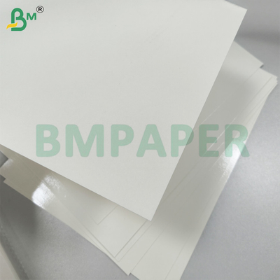 Papel de serviço alimentar revestido de PET branco para placas de papel resistentes à gordura