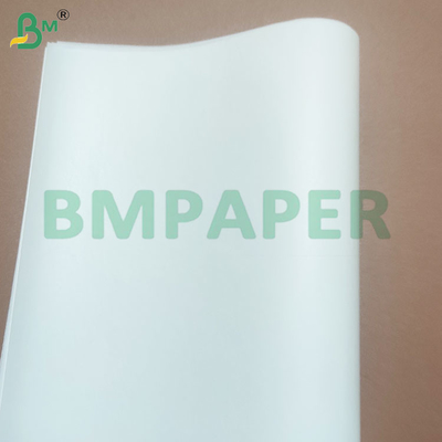 Papel revestido de silicone para cozinhar
