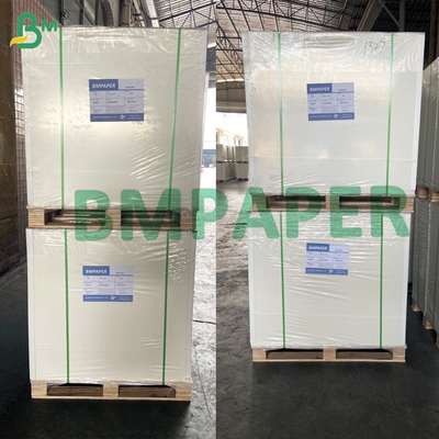 280 gm 325 gm Cartão Branco C1S Cartão Revestido Para Embalagens em Bolhas