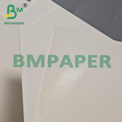 315 gramas Resistente ao calor PET descartável Papel Kraft Branco 24" x 36"
