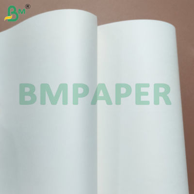 Folhas de papel para copos à prova de vazamento revestidas com PE em um lado, 240gsm+10gsm