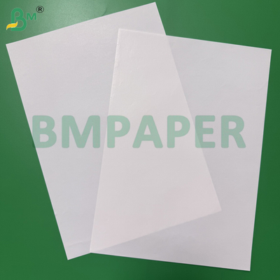 Papel Branco de Alta Resistência à Umidade (65 - 80 gsm) para Embalagens de Bebidas, Papel para Rótulo de Cerveja com Revestimento em uma Face