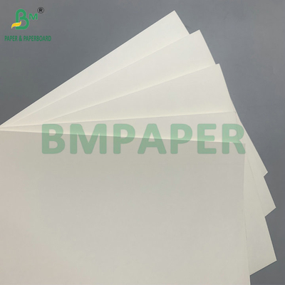 18g PE revestido impermeável 210gm Cup Stock Paper para fazer taça de café