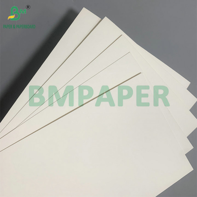 18g PE revestido impermeável 210gm Cup Stock Paper para fazer taça de café
