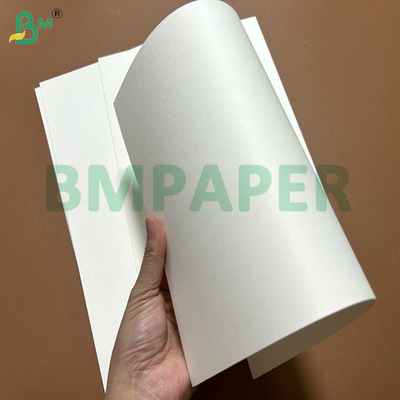 240g + 15PE Papel de recipiente de alimentos resistente ao óleo para fabricação de tigelas de papel 61 x 86cm