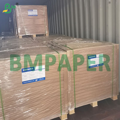 Papel Vegetal Não Branqueado para Assar, Antiaderente, para Tabuleiro do Forno