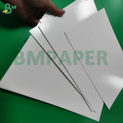 1 / S 295g + 15g PE Papel para Alimentos Congelados com Revestimento PE para Embalagem de Camarão Seguro para Congelador