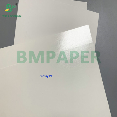 Cartão Congelado C1S 275gsm + 15gsm PE para Caixa de Embalagem de Camarão/Peixe
