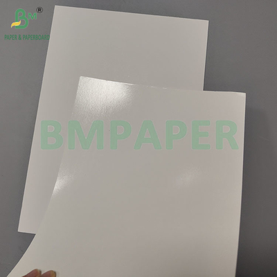 Papel para embalagem de alimentos congelados 275gsm 300gsm para embalagem de frutos do mar congelados